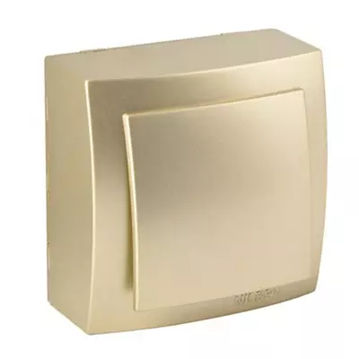 /resimler/cacheweb/urunler/nilson_altin_renk_siva_ustu_anahtar1_22.webp?v=637514313472103467